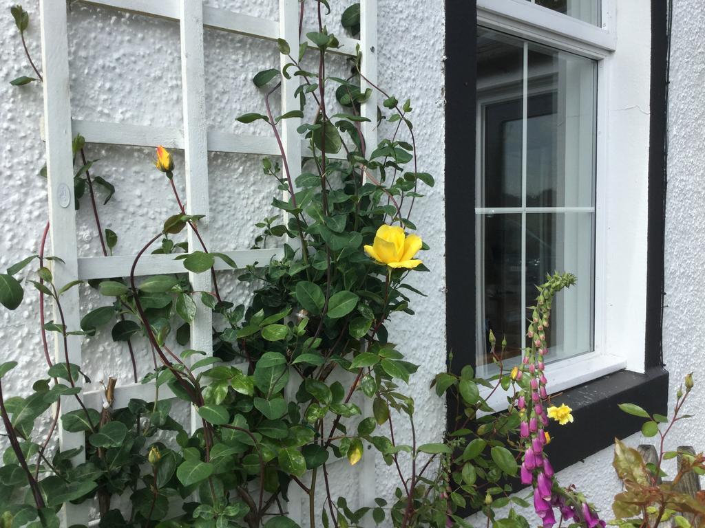 Kennels Cottage 스털링 외부 사진